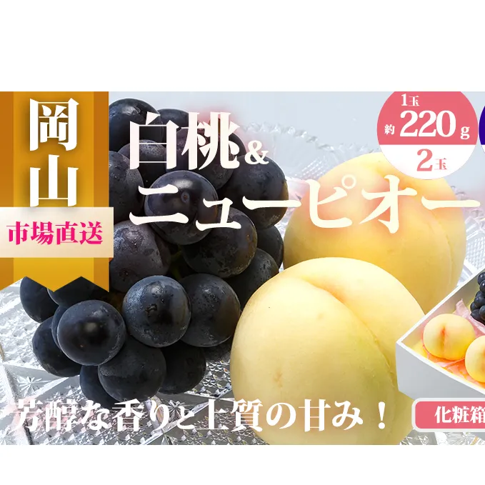 桃 ぶどう 2026年 先行予約 果物 詰合せ 白桃 2玉（1玉220g以上）ニューピオーネ 2房（1房480g以上）化粧箱入り もも 葡萄 岡山県産 国産 フルーツ 果物 ギフト 