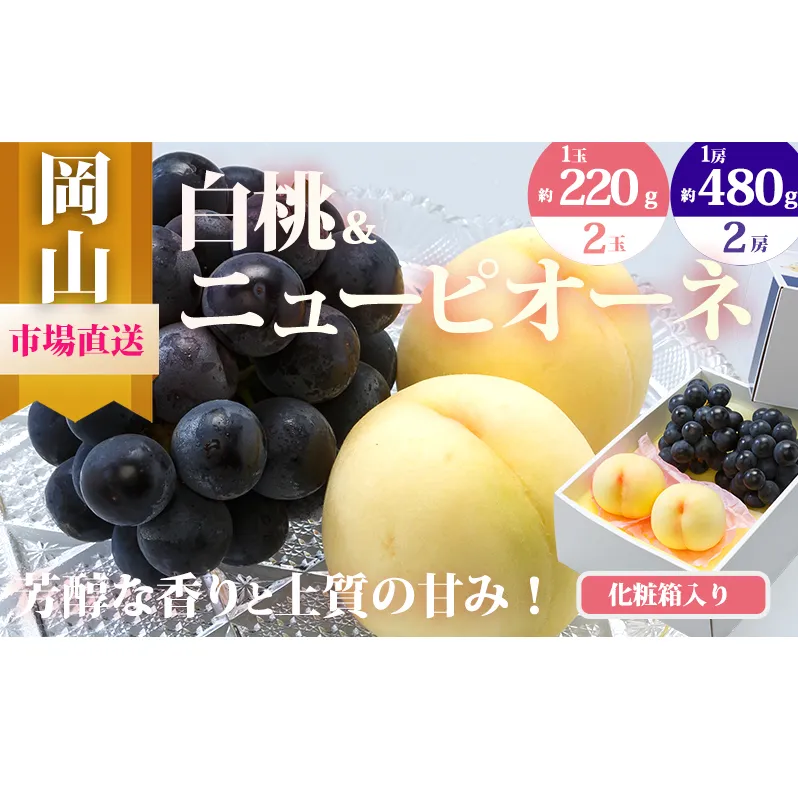 桃 ぶどう 2026年 先行予約 果物 詰合せ 白桃 2玉（1玉220g以上）ニューピオーネ 2房（1房480g以上）化粧箱入り もも 葡萄 岡山県産 国産 フルーツ 果物 ギフト