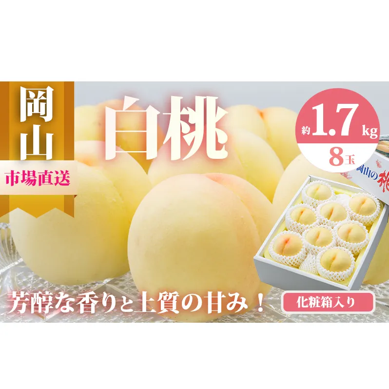 桃 2026年 先行予約 岡山 白桃 8玉（合計1.7kg以上）化粧箱入り もも モモ 岡山県産 国産 フルーツ 果物 ギフト