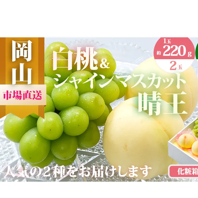 桃 ぶどう 2025年 先行予約 果物 詰合せ 白桃 2玉（1玉220g以上）シャインマスカット 晴王 2房（1房480g以上）化粧箱入り もも 葡萄 岡山県産 国産 フルーツ 果物 ギフト 