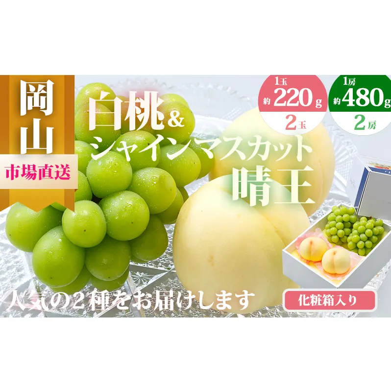 桃 ぶどう 2026年 先行予約 果物 詰合せ 白桃 2玉（1玉220g以上）シャインマスカット 晴王 2房（1房480g以上）化粧箱入り もも 葡萄 岡山県産 国産 フルーツ 果物 ギフト