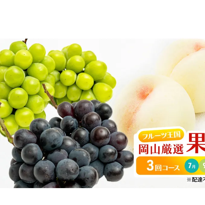 フルーツ 定期便 2026年 先行予約 フルーツ王国 岡山 厳選 果物 （7月 9月 10月）3回コース 桃 もも 葡萄 ぶどう 岡山県産 国産 セット ギフト