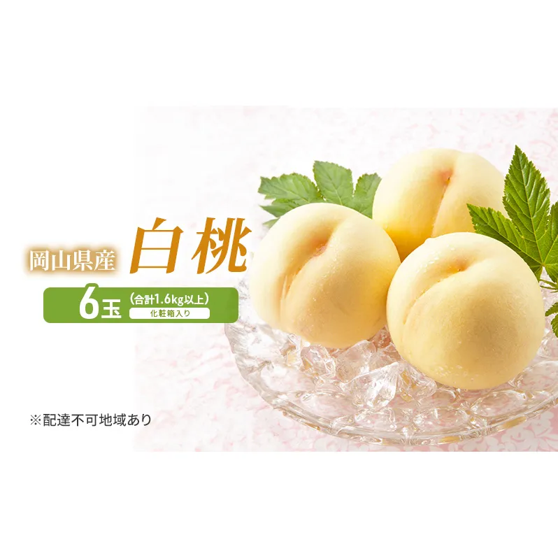 桃 2026年 先行予約 白桃 6玉 (1.6kg以上) 化粧箱入り もも モモ 岡山県産 国産 フルーツ 果物 セット ギフト 