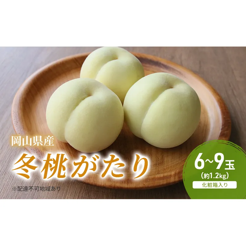 桃 2025年 先行予約 冬桃がたり 6～9玉（約1.2kg）化粧箱入り もも モモ 岡山県産 国産 フルーツ 果物 セット ギフト 