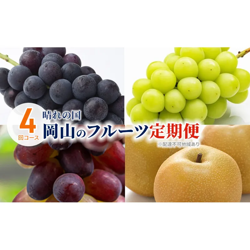ぶどう 梨 定期便 2026年 先行予約 晴れの国 岡山 の フルーツ 定期便 4回コース 葡萄 なし 岡山県産 国産 セット ギフト 