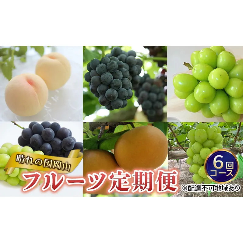 フルーツ 晴れの国 岡山 の フルーツ 定期便 6回コース 岡山県産 桃 もも 葡萄 ぶどう 梨 なし 2025年 先行予約 