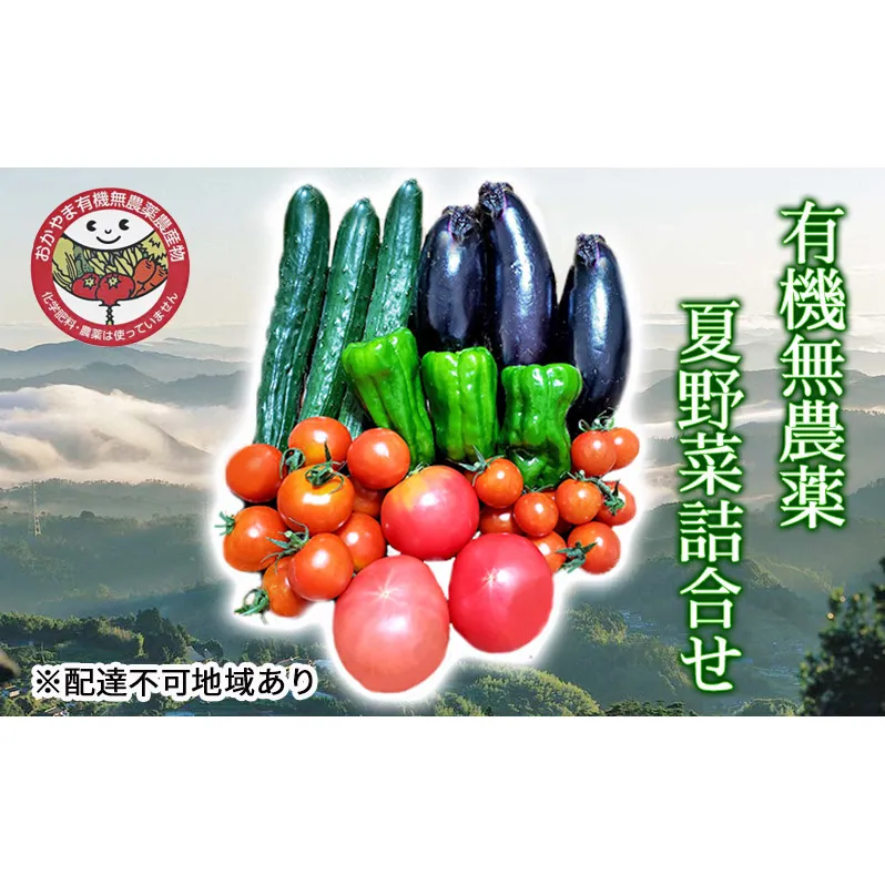 早期受付 夏野菜 詰め合わせ おかやま 有機無農薬 農産物 野菜 セット 