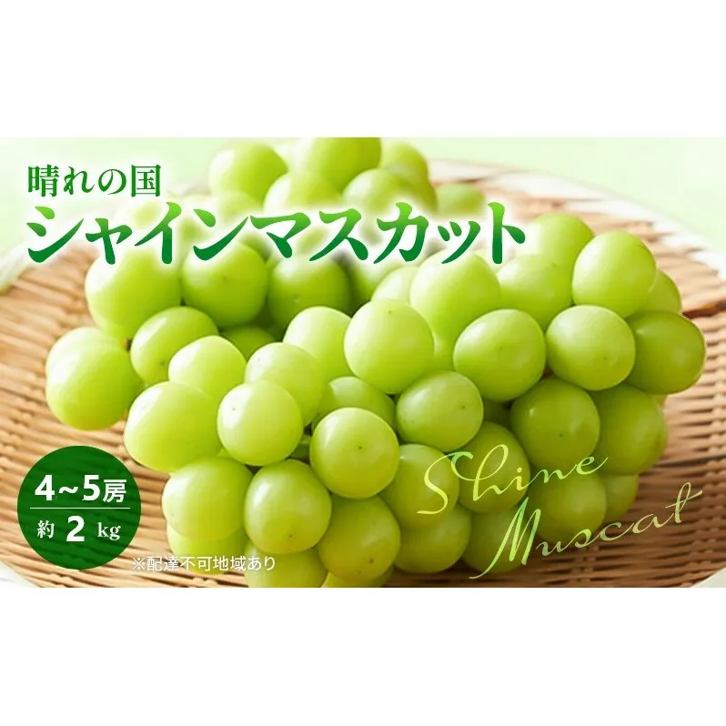 早期受付 ぶどう 晴れの国 シャインマスカット 2kg (4～5房) 化粧箱入り 岡山県 高梁市 ブドウ 葡萄 果物 フルーツ 
