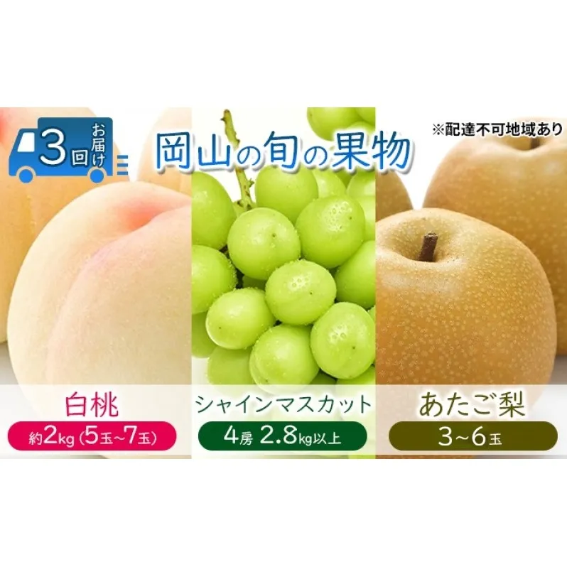 フルーツ 定期便 【2026年 先行予約】 桃 ぶどう 梨 3回お届け 白桃 約2kg入り(5玉～7玉) シャインマスカット 4房2.8kg以上 あたご梨 (3～6玉)  岡山県産 国産 セット ギフト
