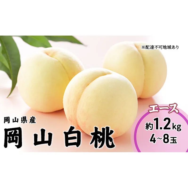 桃 2025年 先行予約 岡山 白桃 エース 4～8玉 1.2kg 岡山県産 JAおかやまのもも  モモ 岡山県産 国産 フルーツ 果物 ギフト