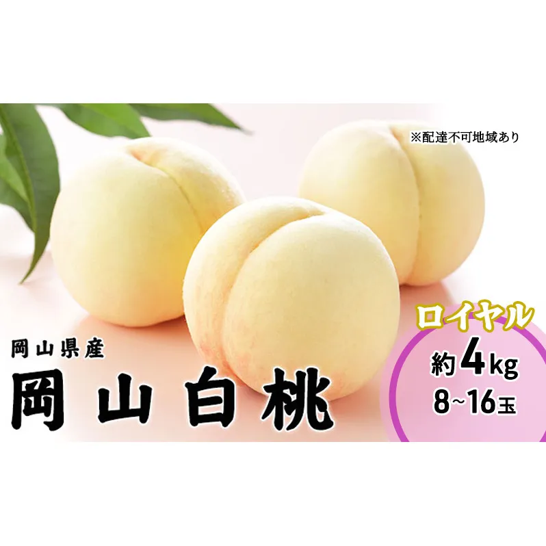 桃 2025年 先行予約 岡山 白桃 ロイヤル 8～16玉 4.0kg 岡山県産 JAおかやまのもも  モモ 岡山県産 国産 フルーツ 果物 ギフト