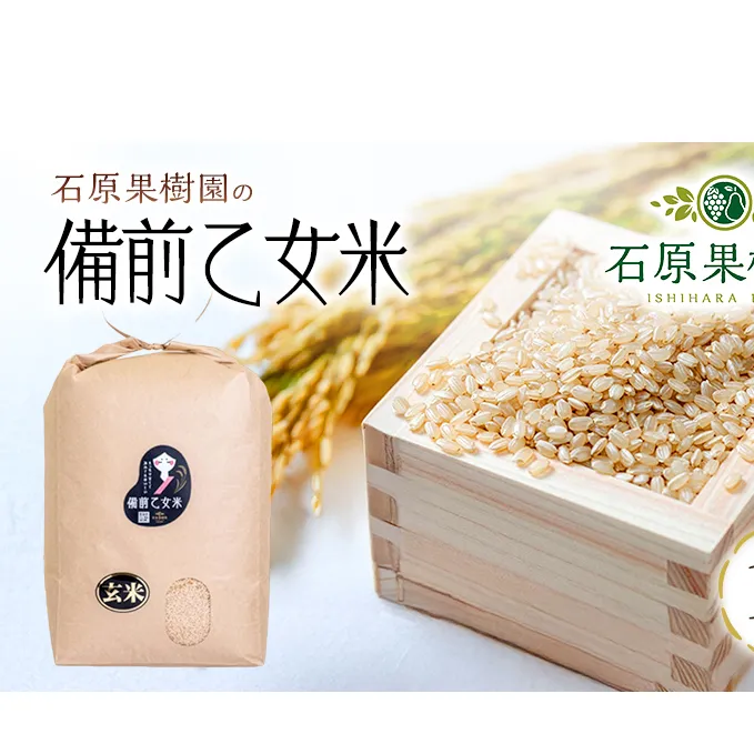米 令和7年産 石原果樹園の備前乙女米 玄米 10kg×1袋 ※11月上旬～順次発送予定 ライス  お米 ライス  乳酸菌栽培 岡山県 おにぎり お弁当
