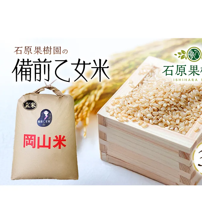 米 令和7年産 石原果樹園の備前乙女米 玄米 30kg×1袋 ※11月上旬～順次発送予定 お米 ライス  乳酸菌栽培 岡山県 おにぎり お弁当