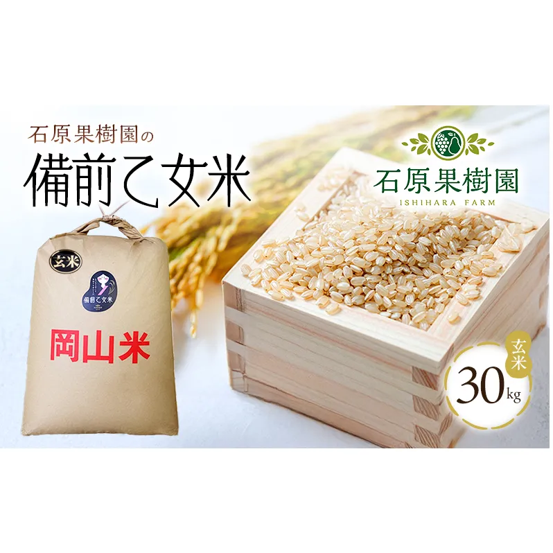 米 令和8年産 石原果樹園の備前乙女米 玄米 30kg×1袋 ※11月上旬~順次発送予定 お米 ライス 乳酸菌栽培 岡山県 おにぎり お弁当