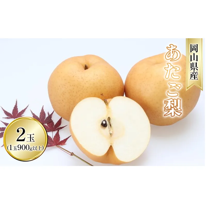 梨 2026年 先行予約 あたご梨 2玉入り（1玉 900g以上） なし ナシ  岡山県産 国産 フルーツ 果物 ギフト 和梨 デザート 食後 日本一の大きさ 大玉 シャリシャリ