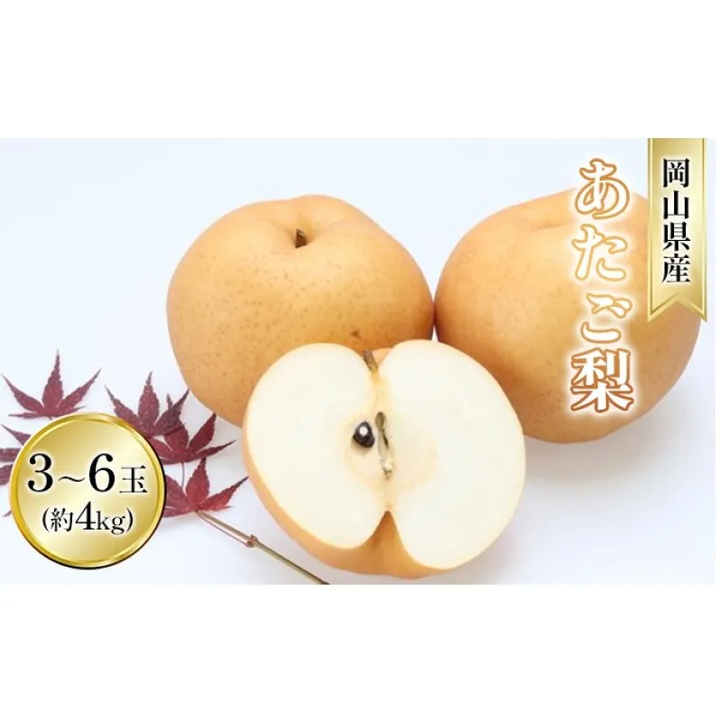 梨 2026年 先行予約 あたご梨 約4kg 3～6玉入り  なし ナシ  岡山県産 国産 フルーツ 果物 ギフト 和梨 デザート 食後 日本一の大きさ 大玉 シャリシャリ