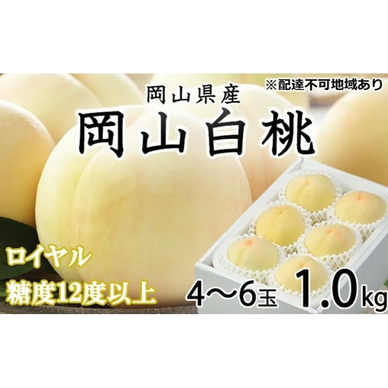 桃 2025年 先行予約 岡山 白桃 ロイヤル 4～6玉 約1kg JAおかやまのもも（早生種・中生種） もも モモ 岡山県産 国産 フルーツ 果物 ギフト