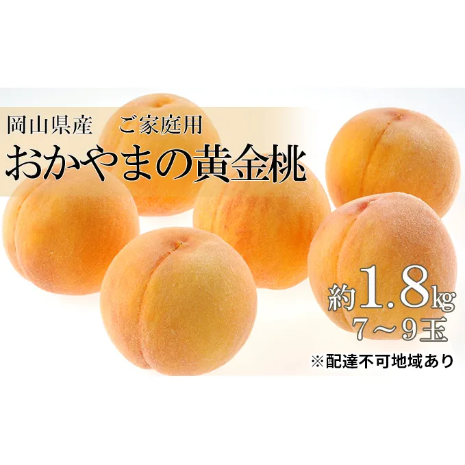 桃 2025年 先行予約 ご家庭用 おかやま の 黄金桃 約1.8kg（7～9玉） 岡山県 フルーツ もも 桃 モモ ピーチ 人気 新鮮 フルーツ 桃 訳あり くだもの 桃 もも 果物 フルーツ 桃 もも