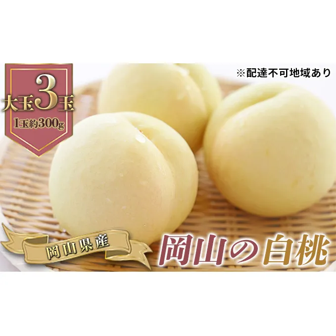 桃 2025年 先行予約 岡山の 白桃 大玉3玉(晩生種)(1玉約300g) もも モモ 岡山県産 国産 フルーツ 果物 ギフト