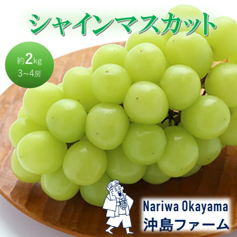 早期受付 ぶどう シャインマスカット 約2kg（3～4房）岡山県高梁市産 沖島ファーム 化粧箱入り 葡萄 ブドウ 贈答用