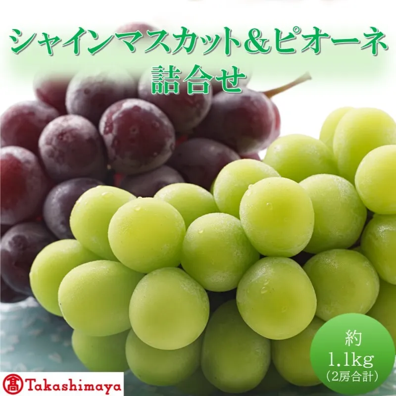 【高島屋選定品】シャインマスカット＆ピオーネ詰合せ 約1.1kg（2房合計） 岡山県高梁市産 個装箱入り 葡萄 ブドウ 贈り物