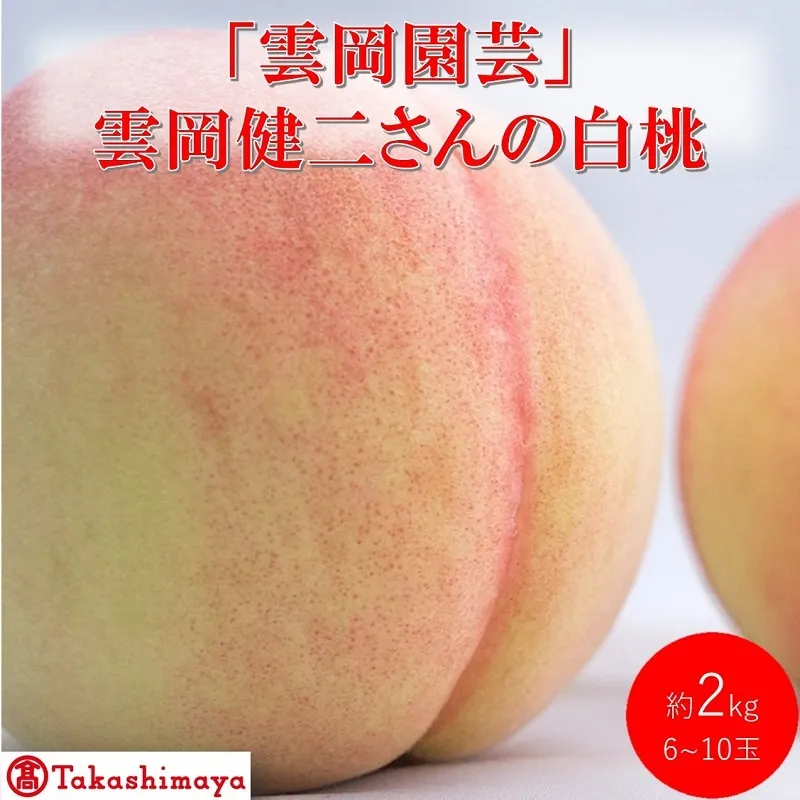 【高島屋選定品】「雲岡園芸」雲岡健二さんの白桃 6～10玉（約2kg） もも モモ 岡山県産 国産 フルーツ 果物 ギフト