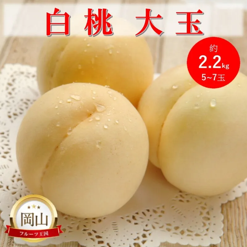 岡山県産 白桃 大玉 (約2.2kg) 5～7玉 桃 もも 果物 フルーツ