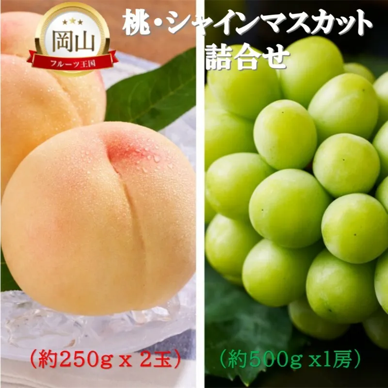 岡山県産 桃 (約250g×2玉)・シャインマスカット(約500g×1房) 詰合せ 桃 シャインマスカット 果物 フルーツ