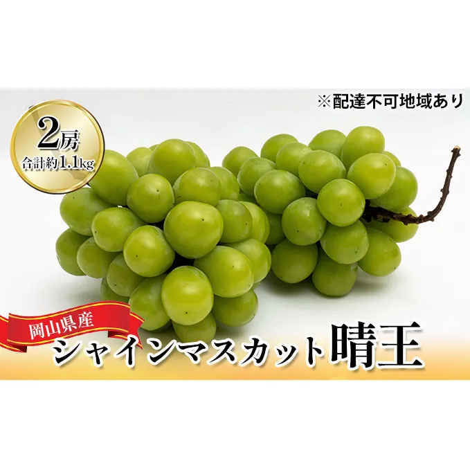 ぶどう 2026年 先行予約 シャイン マスカット 晴王 2房 （合計約1.1kg） 化粧箱入り マスカット ブドウ 葡萄  岡山県産 国産 フルーツ 果物 ギフト