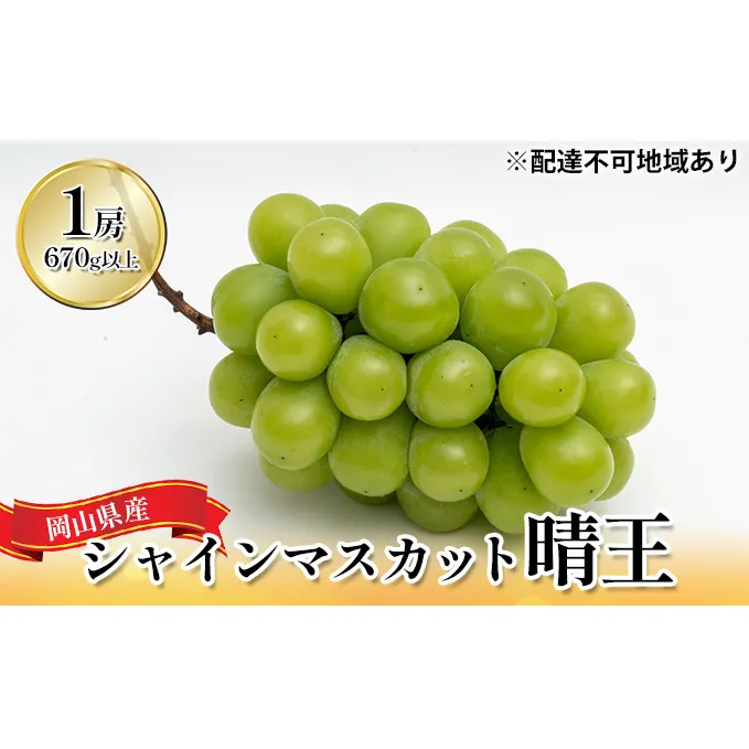 ぶどう 2026年 先行予約 シャイン マスカット 晴王 1房 （1房670g以上） 化粧箱入り マスカット ブドウ 葡萄  岡山県産 国産 フルーツ 果物 ギフト 贈答品 高級 大粒 種無し 贈り物