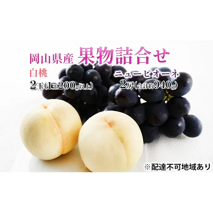 桃 ぶどう 2026年 先行予約 果物詰合せ 白桃 2玉（1玉200g以上） ニュー ピオーネ 2房（合計約940g）化粧箱入り 岡山県産 国産 フルーツ 果物 ギフト  贈り物 セット