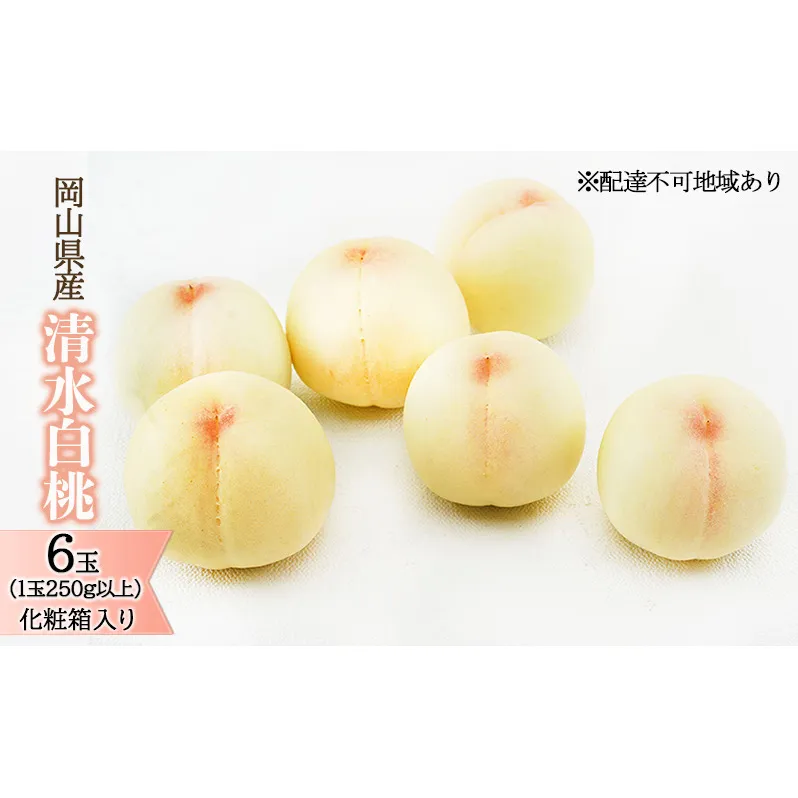 桃 2026年 先行予約 清水 白桃 6玉 (1玉250g以上)化粧箱入り もも モモ 岡山県産 国産 フルーツ 果物 ギフト 最高級 贈答品 贈り物