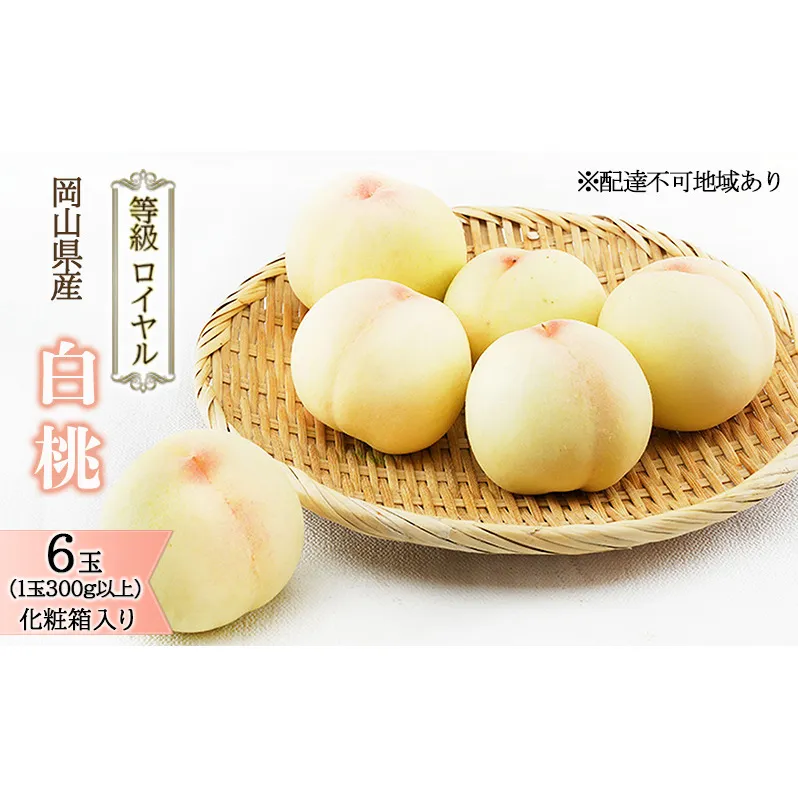桃 2026年 先行予約 白桃 6玉 （1玉300g以上） 等級：ロイヤル 化粧箱入り もも モモ 岡山県産 国産 フルーツ 果物 ギフト 贈答品 糖度12.0度以上