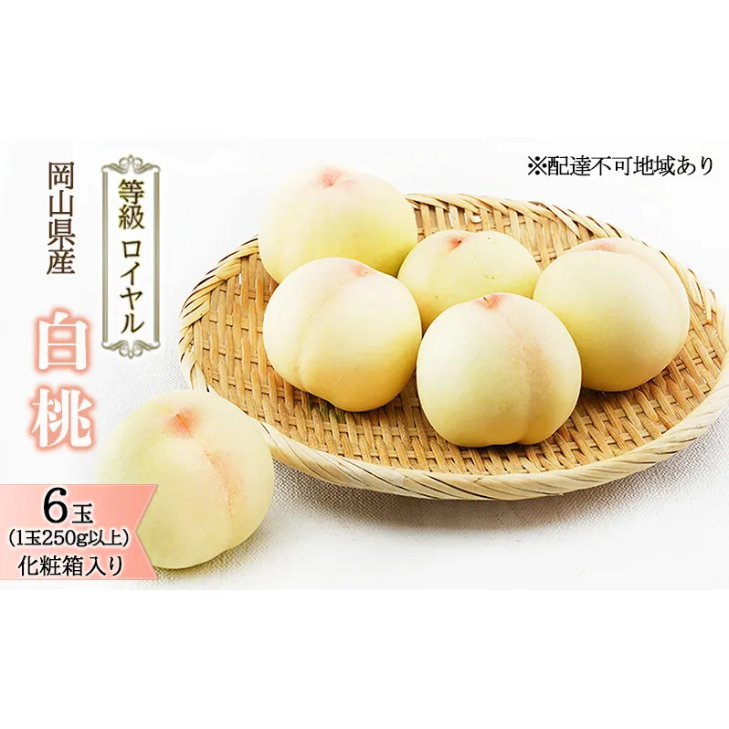 桃 2026年 先行予約 白桃 6玉 （1玉250g以上） 等級：ロイヤル 化粧箱入り もも モモ 岡山県産 国産 フルーツ 果物 ギフト 贈答品 糖度12.0度以上