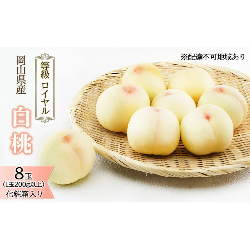 桃 2026年 先行予約 白桃 8玉 （1玉200g以上） 等級：ロイヤル 化粧箱入り もも モモ 岡山県産 国産 フルーツ 果物 ギフト 贈答品 糖度12.0度以上