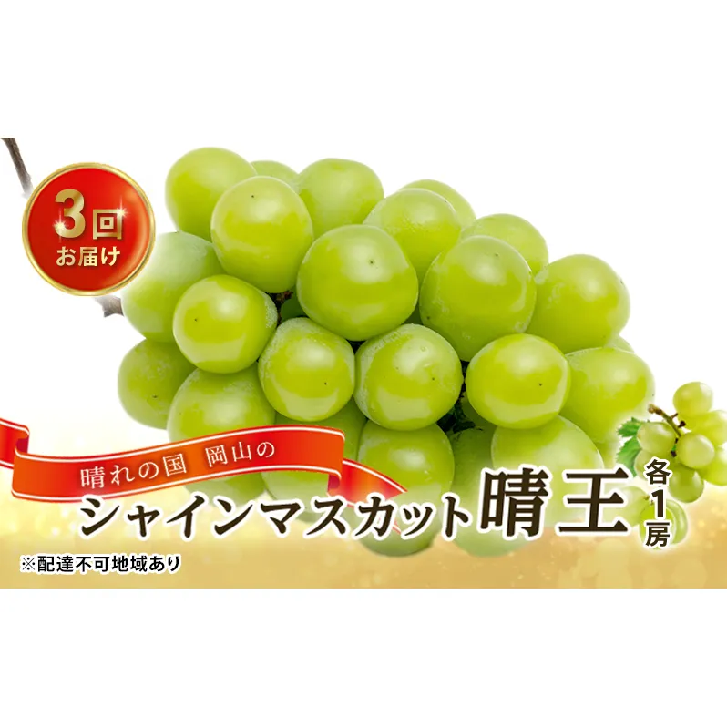 ぶどう 2026年 先行予約 3回お届け！  晴れの国 岡山の シャイン マスカット  晴王 ×3回！(各1房)  葡萄  岡山県産 国産 フルーツ 果物 ギフト 食後 高級ぶどう 大粒 種なし 甘みが強い 皮ごと