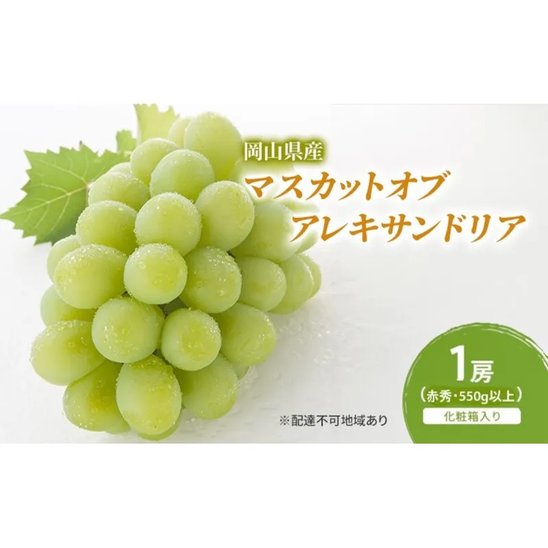 ぶどう 2026年 先行予約 マスカットオブアレキサンドリア 1房(550g以上・赤秀) 化粧箱入り
