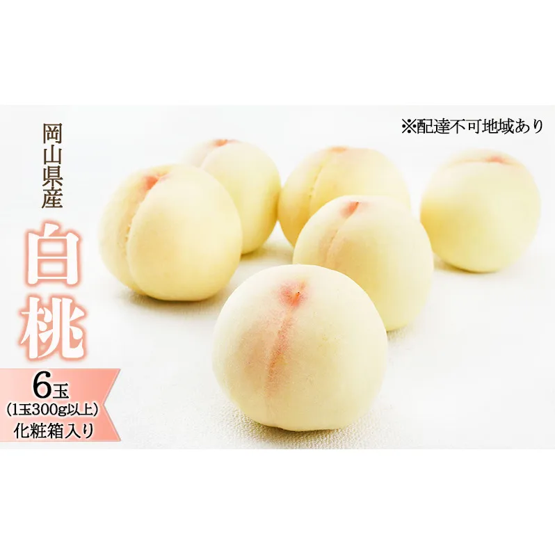 桃 2026年 先行予約 白桃 6玉（1玉300g以上）化粧箱入り もも モモ 岡山県産 国産 フルーツ 果物 ギフト 透き通る 白い 柔らかい 果汁 きめ細やか 恵み 知恵 情熱 贈り物