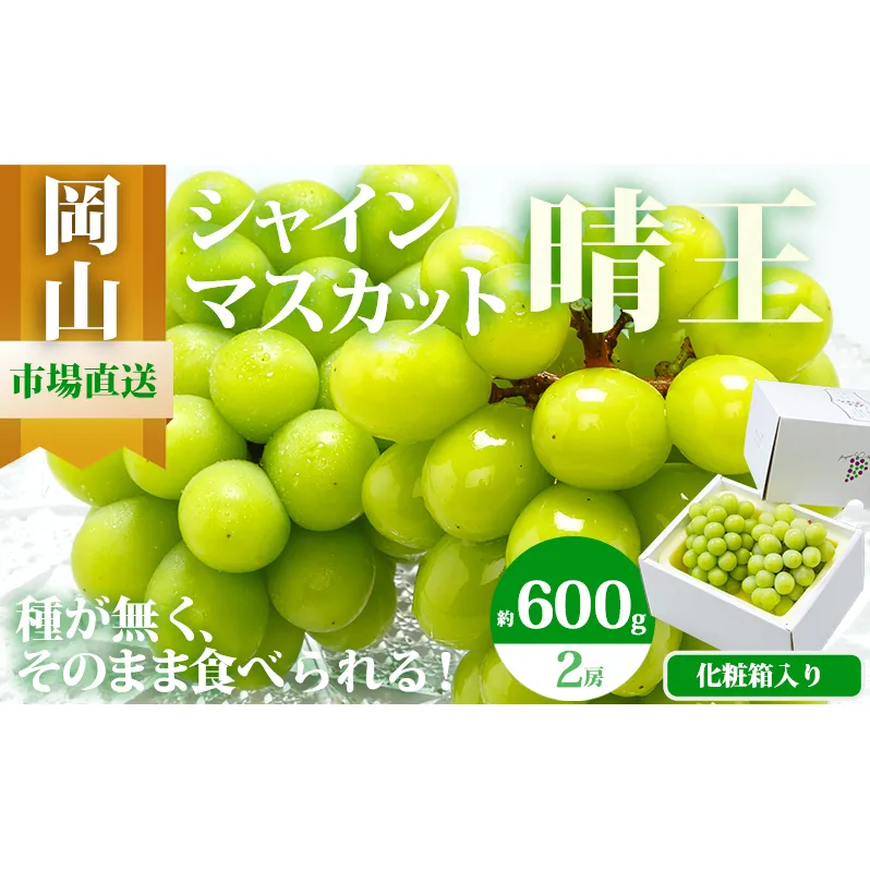 ぶどう 2026年 先行予約 シャイン マスカット 晴王 2房 （1房 600g以上） 化粧箱入り マスカット ブドウ 葡萄  岡山県産 国産 フルーツ 果物 ギフト 高級ぶどう 大粒 種なし 贈答品