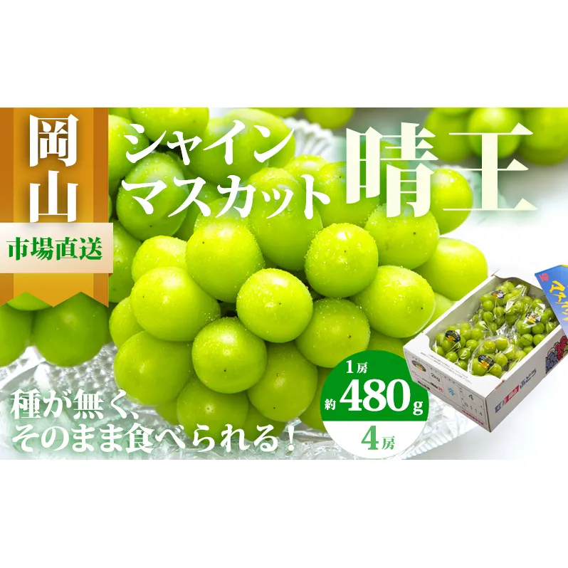 ぶどう 2026年 先行予約 シャイン マスカット 晴王 4房(1房480g以上)約2kg マスカット 岡山県産 国産 フルーツ 果物 ギフト 上品な香り 高級ぶどう 高級シャインマスカット 大粒 種なし 皮ごと