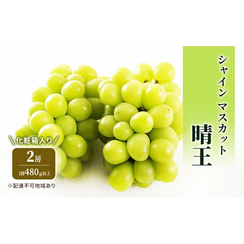 ぶどう 2026年 先行予約 シャイン マスカット 晴王 2房 (1房480g以上) 化粧箱入り ブドウ 葡萄 岡山県産 国産 フルーツ 果物 ギフト