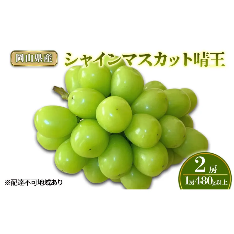 ぶどう 2026年 先行予約 シャインマスカット晴王2房(1房480g以上) 化粧箱入り ブドウ 葡萄 岡山県産 国産 フルーツ 果物 ギフト