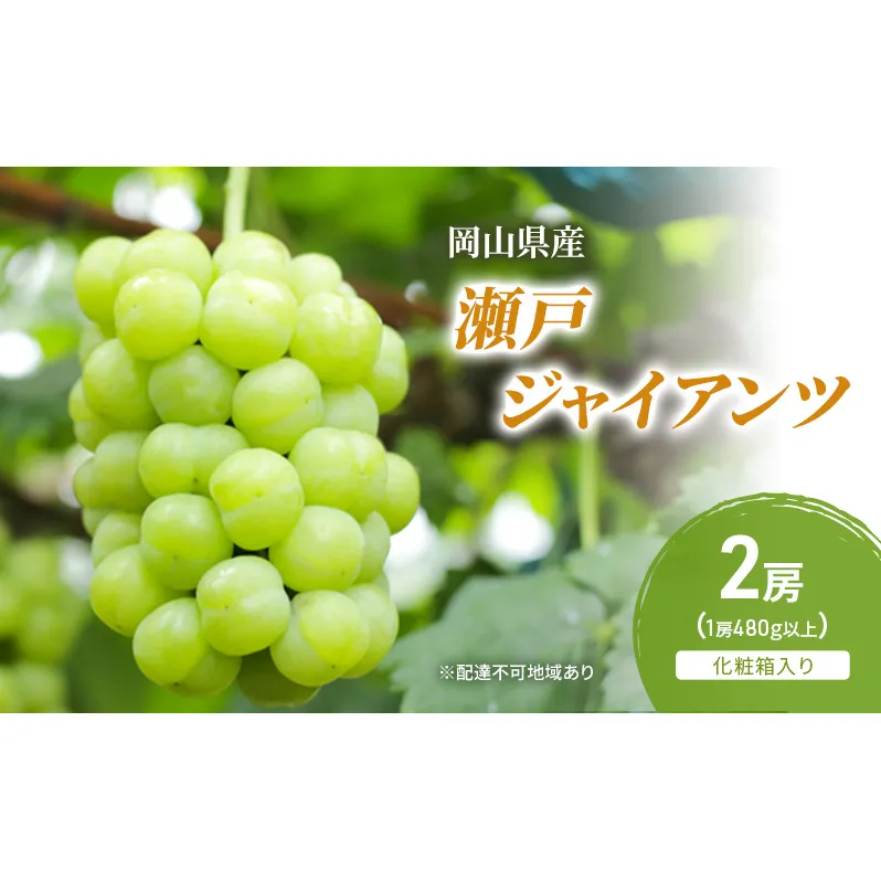 ぶどう 2026年 先行予約 瀬戸ジャイアンツ 2房(1房480g以上) 化粧箱入り ブドウ 葡萄 岡山県産 国産 フルーツ 果物 ギフト