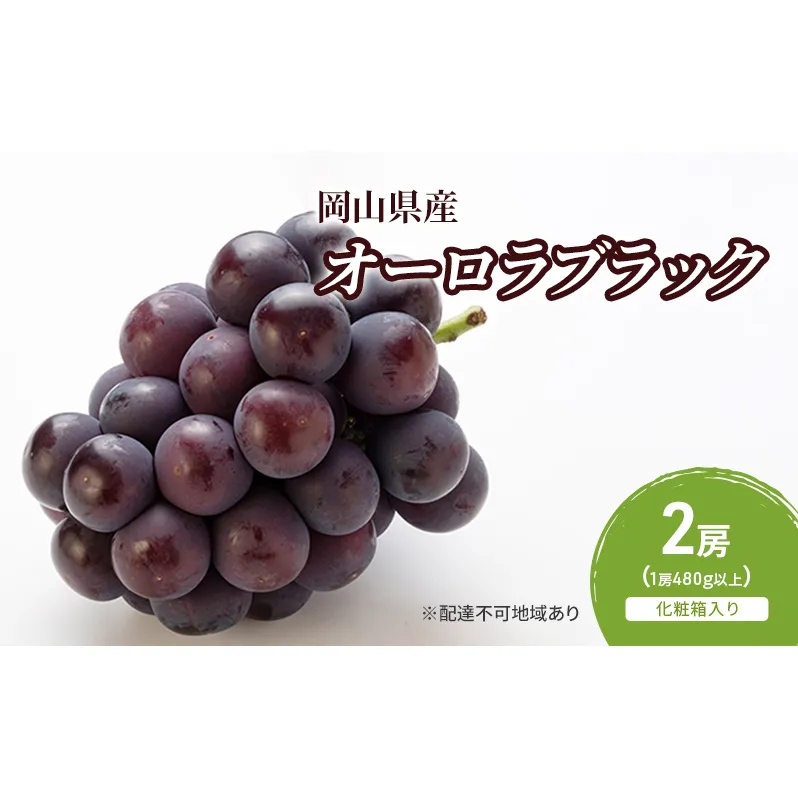 ぶどう 2026年 先行予約 オーロラブラック 2房(1房480g以上)　化粧箱入り ブドウ 葡萄 岡山県産 国産 フルーツ 果物 ギフト