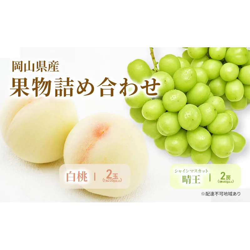 もも ぶどう 2026年 先行予約 詰合/白桃 2玉(1玉220g以上)・シャインマスカット 晴王  2房(1房480g以上) 化粧箱入り 岡山県産 国産 フルーツ 果物 ギフト