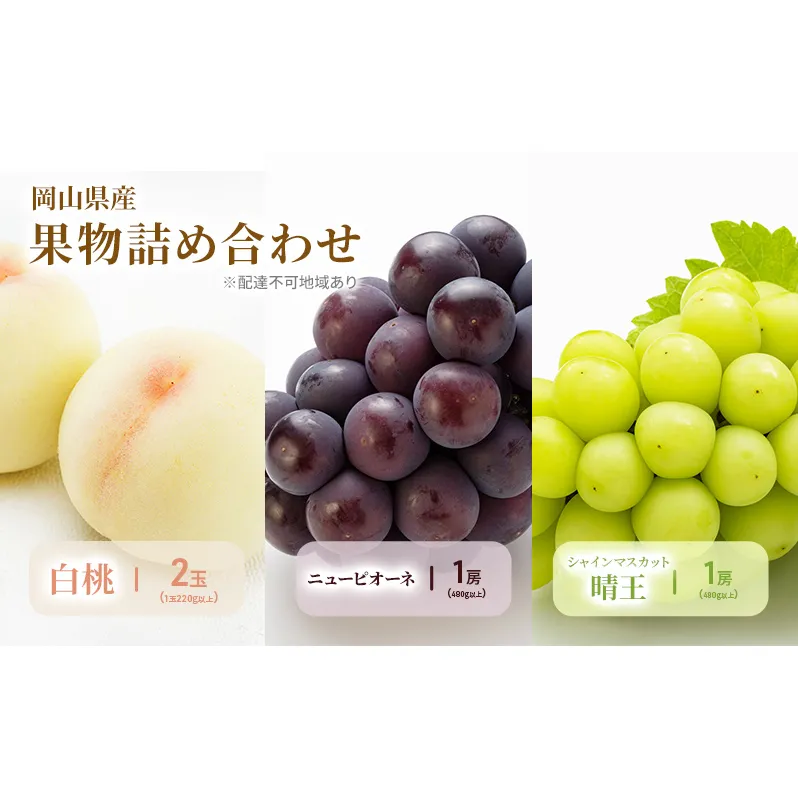 もも ぶどう 2026年 先行予約 詰合/白桃 2玉(1玉220g以上)・ニューピオーネ1房(480g以上)・シャインマスカット 晴王 1房(480g以上) 化粧箱入り 岡山県産 国産 フルーツ 果物 ギフト