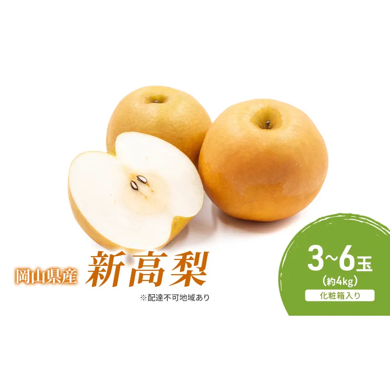 梨 2026年 先行予約 新高梨 3-6玉（約4kg） 化粧箱入り なし ナシ 岡山県産 国産 フルーツ 果物 ギフト