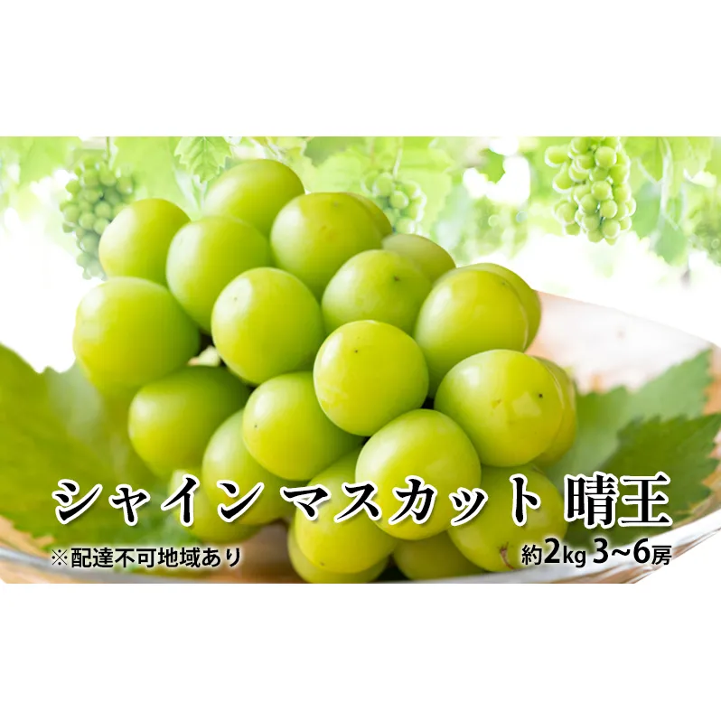 ぶどう 2026年 先行予約 シャイン マスカット 晴王 約2kg 3～6房 種無し ブドウ 葡萄  岡山県産 国産 フルーツ 果物 ギフト