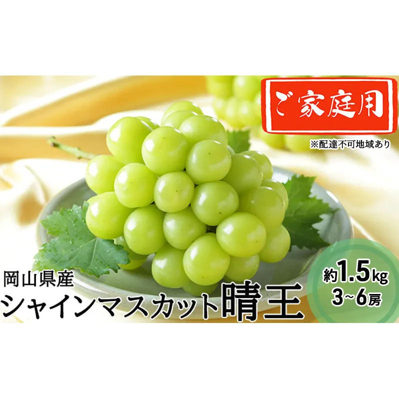 ぶどう 2026年 先行予約 ご家庭用 シャイン マスカット 晴王 3～6房 約1.5kg ブドウ 葡萄 岡山県産 国産 フルーツ 果物
