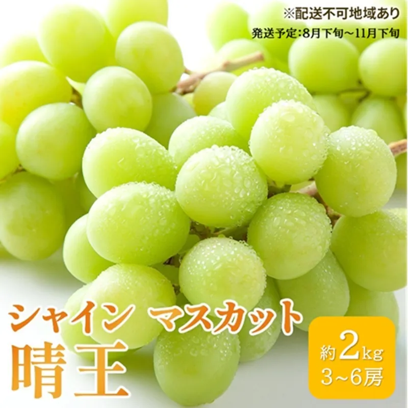 ぶどう 2026年 先行予約 シャイン マスカット 晴王 3房～6房 約2kg ブドウ 葡萄  岡山県産 国産 フルーツ 果物 ギフト 果物類
